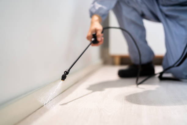 Rodent Entry Point Assessment in Lakeview